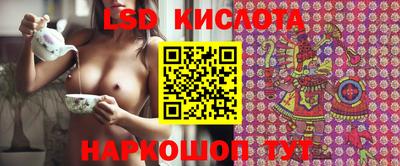твердый Моздок