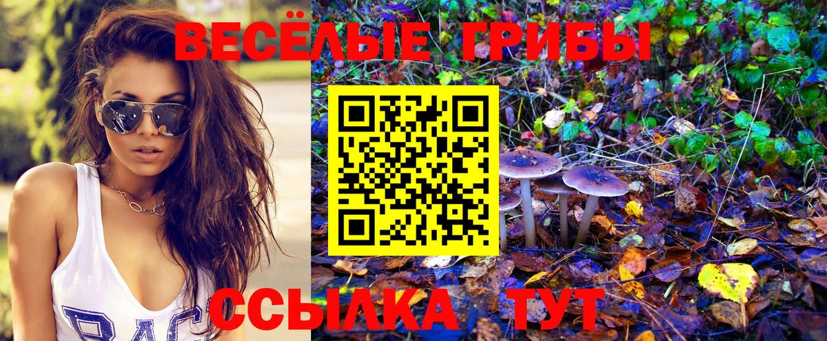 Галлюциногенные грибы прущие грибы  Псилоцибиновые грибы GOLDEN TEACHER  Владивосток  Вход с VPN 