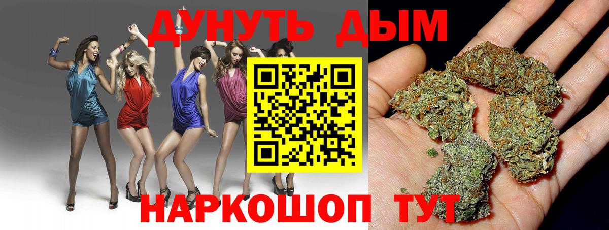 Каннабис OG Kush Владивосток